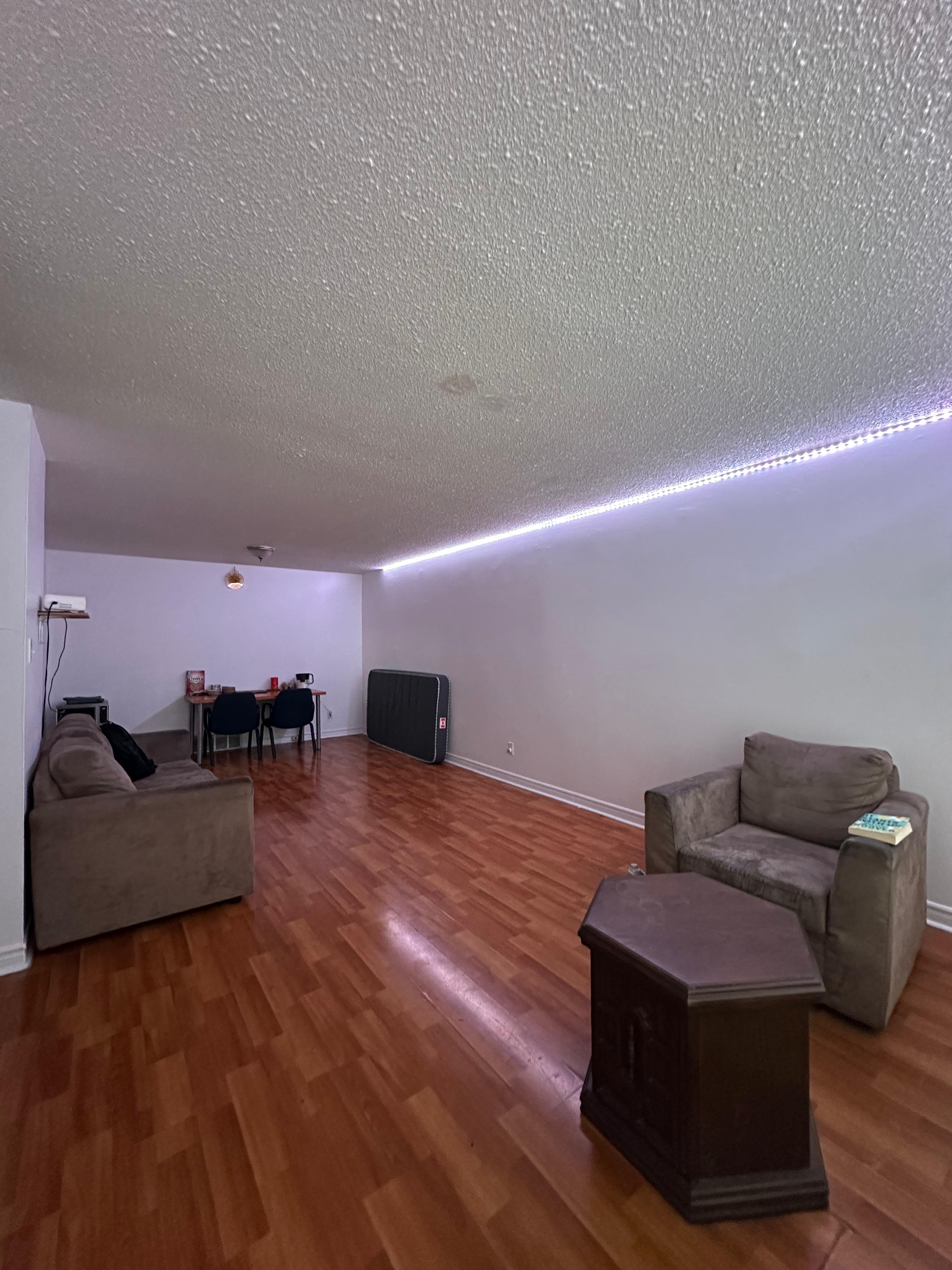 309 Elliot Street Cambridge| Only Girl
