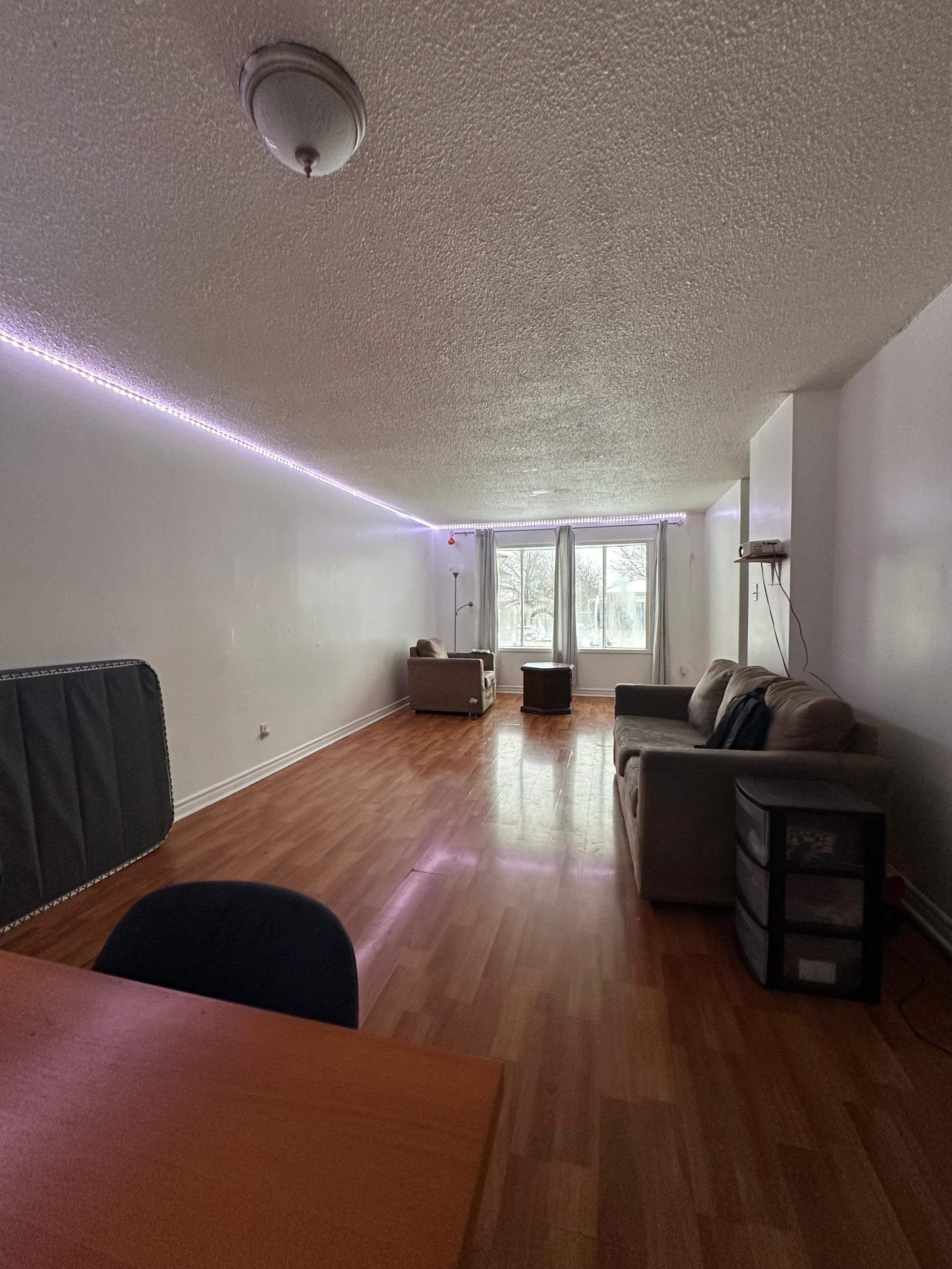 309 Elliot Street Cambridge| Only Girl