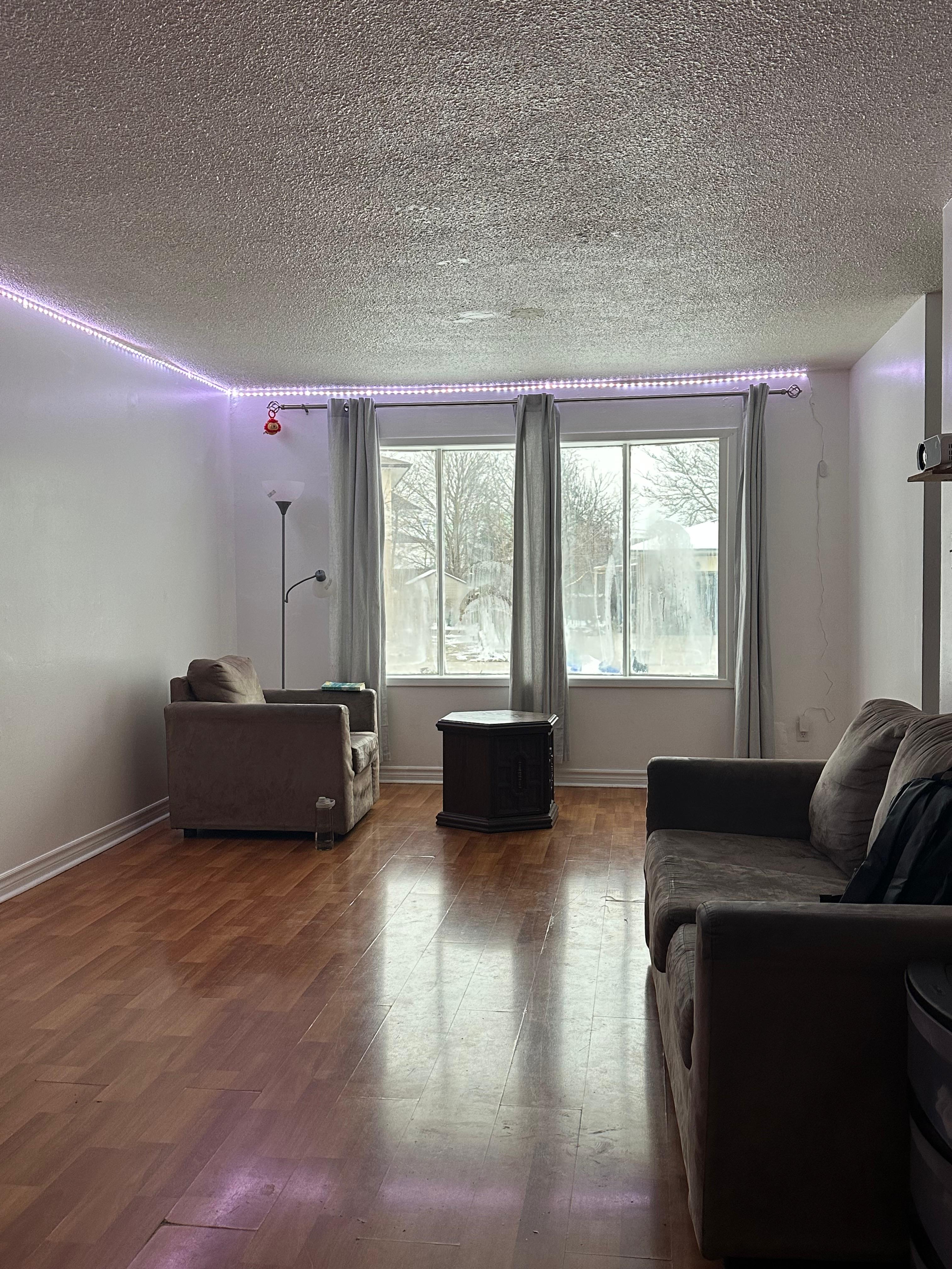 309 Elliot Street Cambridge| Only Girl