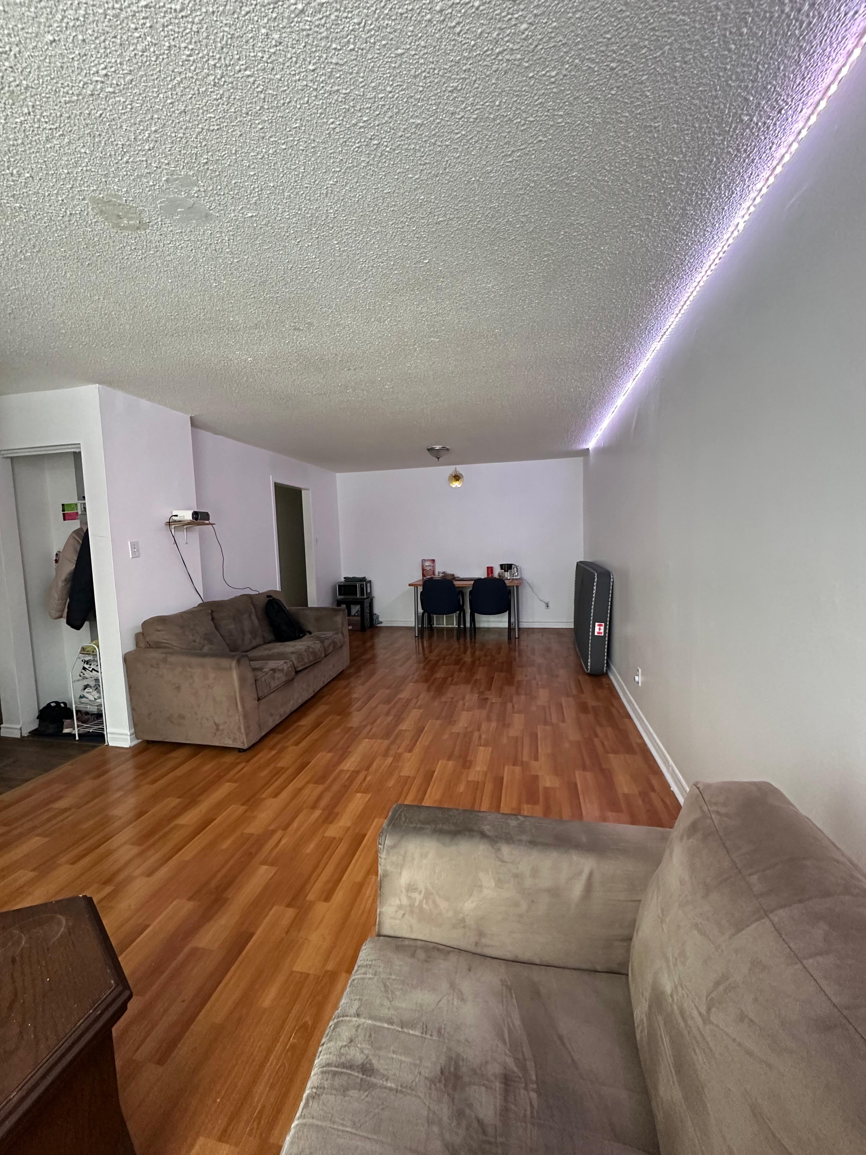 309 Elliot Street Cambridge| Only Girl